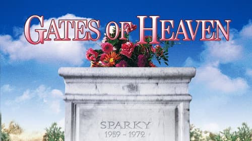 Gates of Heaven still