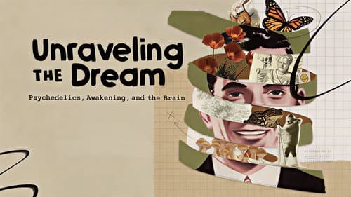 Unraveling the Dream still