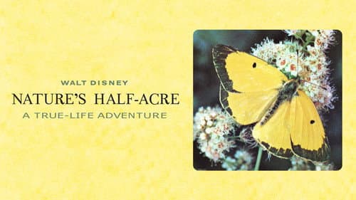 Nature's Half Acre still
