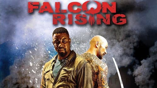 Falcon Rising still