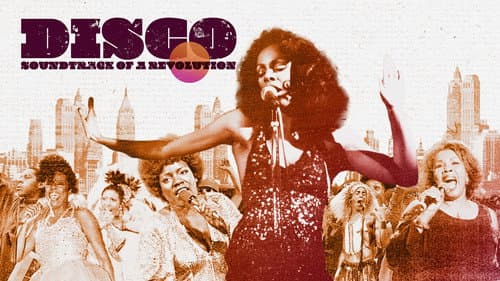 Disco: Soundtrack of a Revolution still