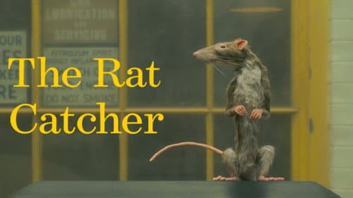The Rat Catcher still