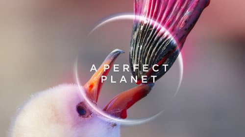A Perfect Planet still