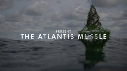 The Atlantis Mussels still