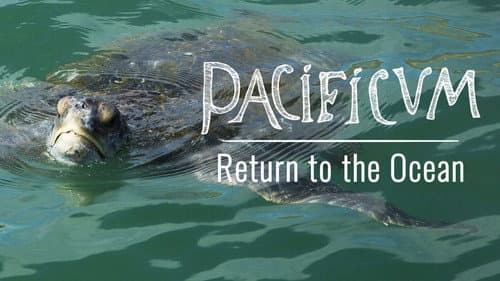 Pacificum: Return to the Ocean still