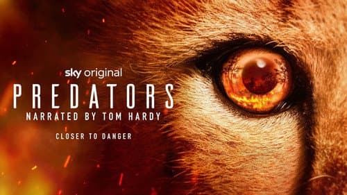 Predators still