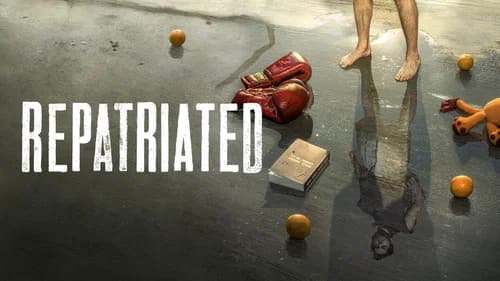Repatriated still