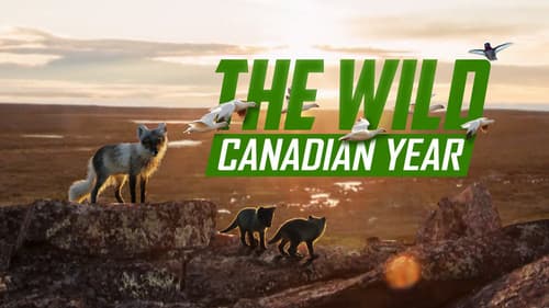 The Wild Canadian Year still