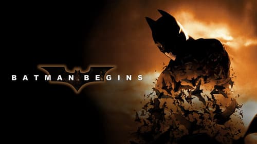 Batman Begins still