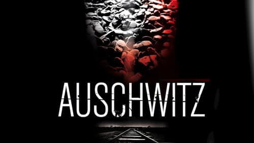 Auschwitz still