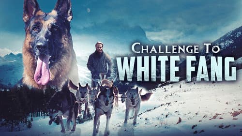 Challenge to White Fang still