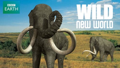 Wild New World still