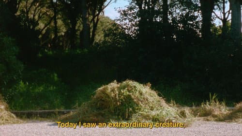 The Secret Garden still