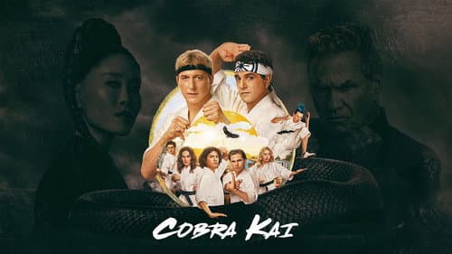 Cobra Kai still