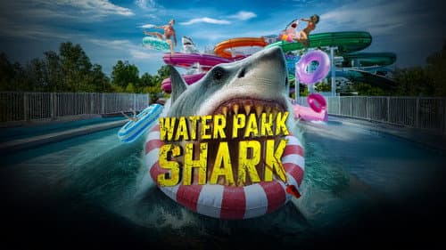 Water Park Shark still