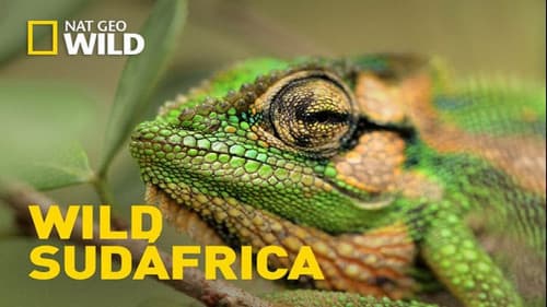 Wild South Africa still