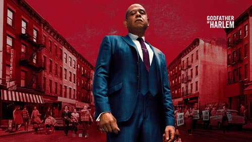 Godfather of Harlem still