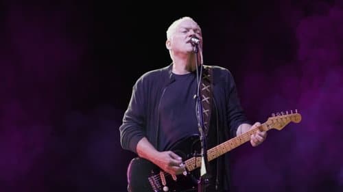 David Gilmour: In Concert still