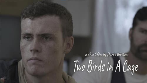 Two Birds in a Cage still