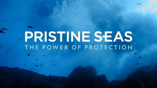Pristine Seas: The Power of Protection still