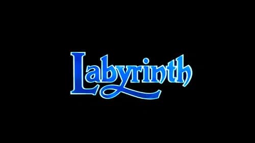 Labyrinth still
