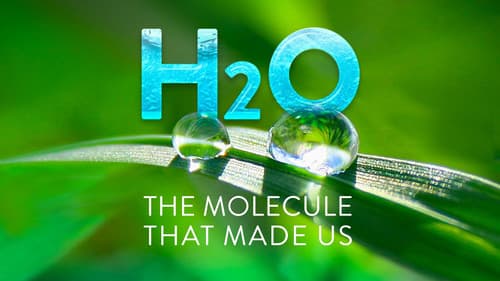H2O: The Molecule that Made Us still