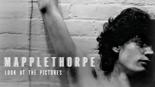 Mapplethorpe: Look at the Pictures still