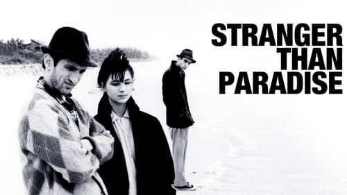 Stranger Than Paradise still
