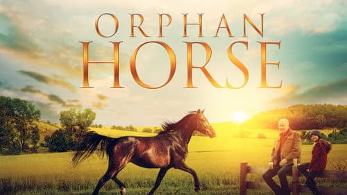 Orphan Horse still