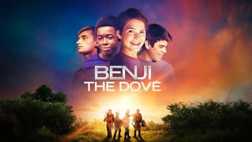 Benji the Dove still