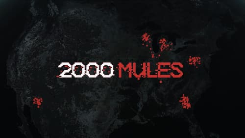 2000 Mules still