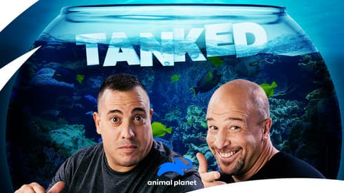 Tanked still