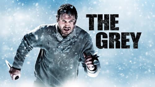 The Grey still