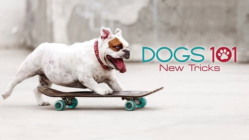 Dogs 101 still