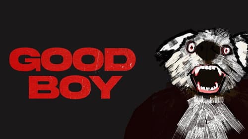 Good Boy still