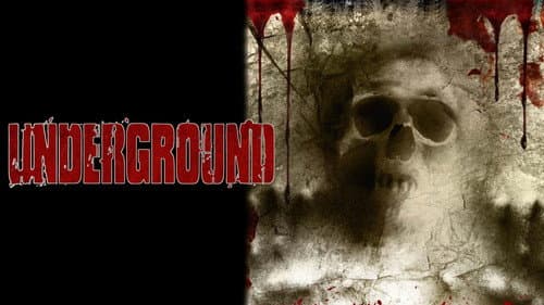 Underground still