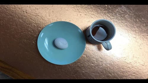 Egg Boy still