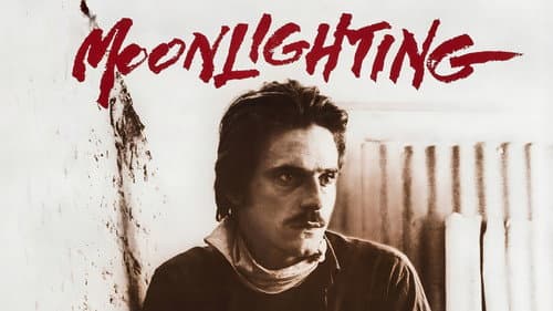 Moonlighting still