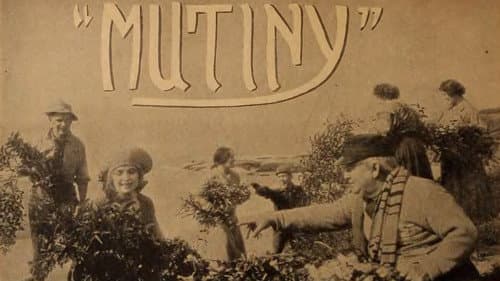 Mutiny still