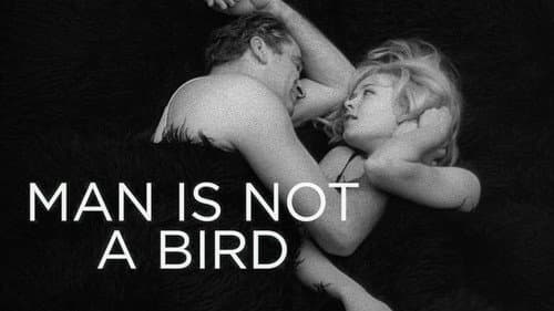 Man Is Not a Bird still