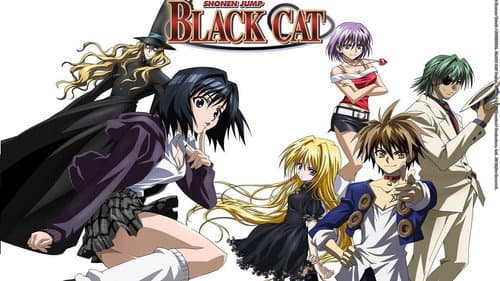 Black Cat still