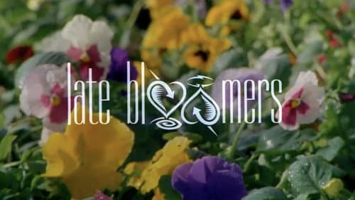 Late Bloomers still