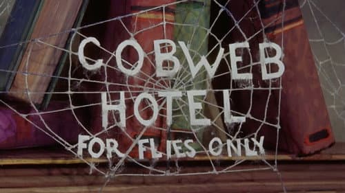 The Cobweb Hotel still
