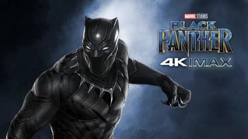 Black Panther still