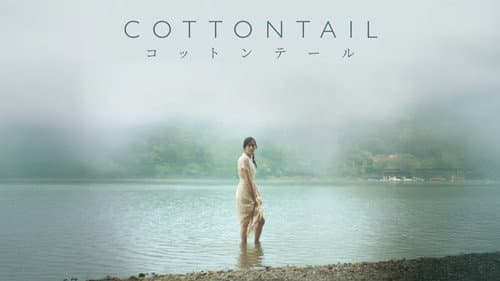 Cottontail still
