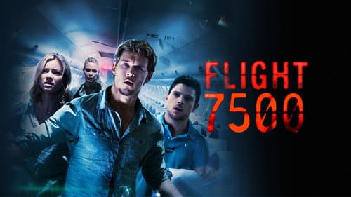 Flight 7500 still