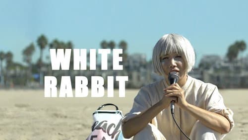 White Rabbit still