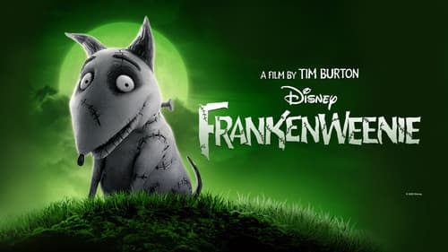 Frankenweenie still
