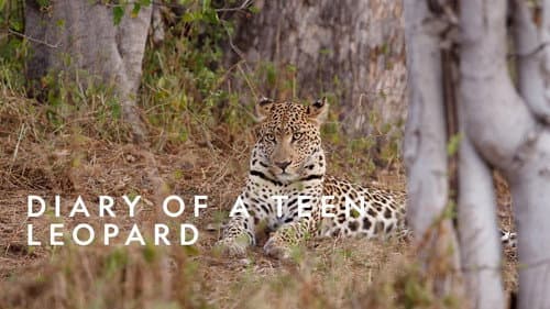 Diary of a Teen Leopard still