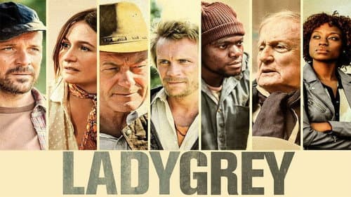 Ladygrey still